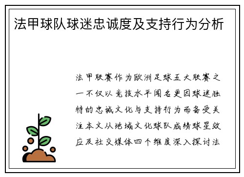 法甲球队球迷忠诚度及支持行为分析